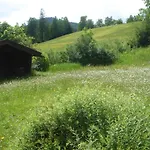 Frenes Seefeld in Tirol